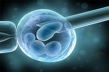 关于清砚堂中医馆